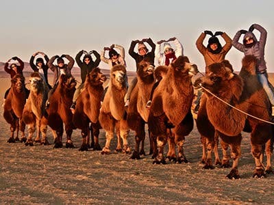 Gobi Desert short tour /5 days/