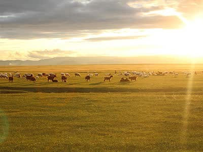 The Endless steppe of Mongolia tour /6 days/