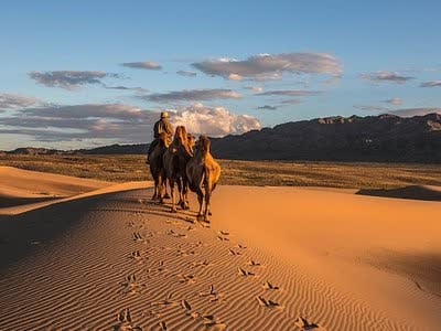 Camel herder nomads